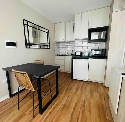 Estudio - Apartamento Renovado Y Confortable Ss4